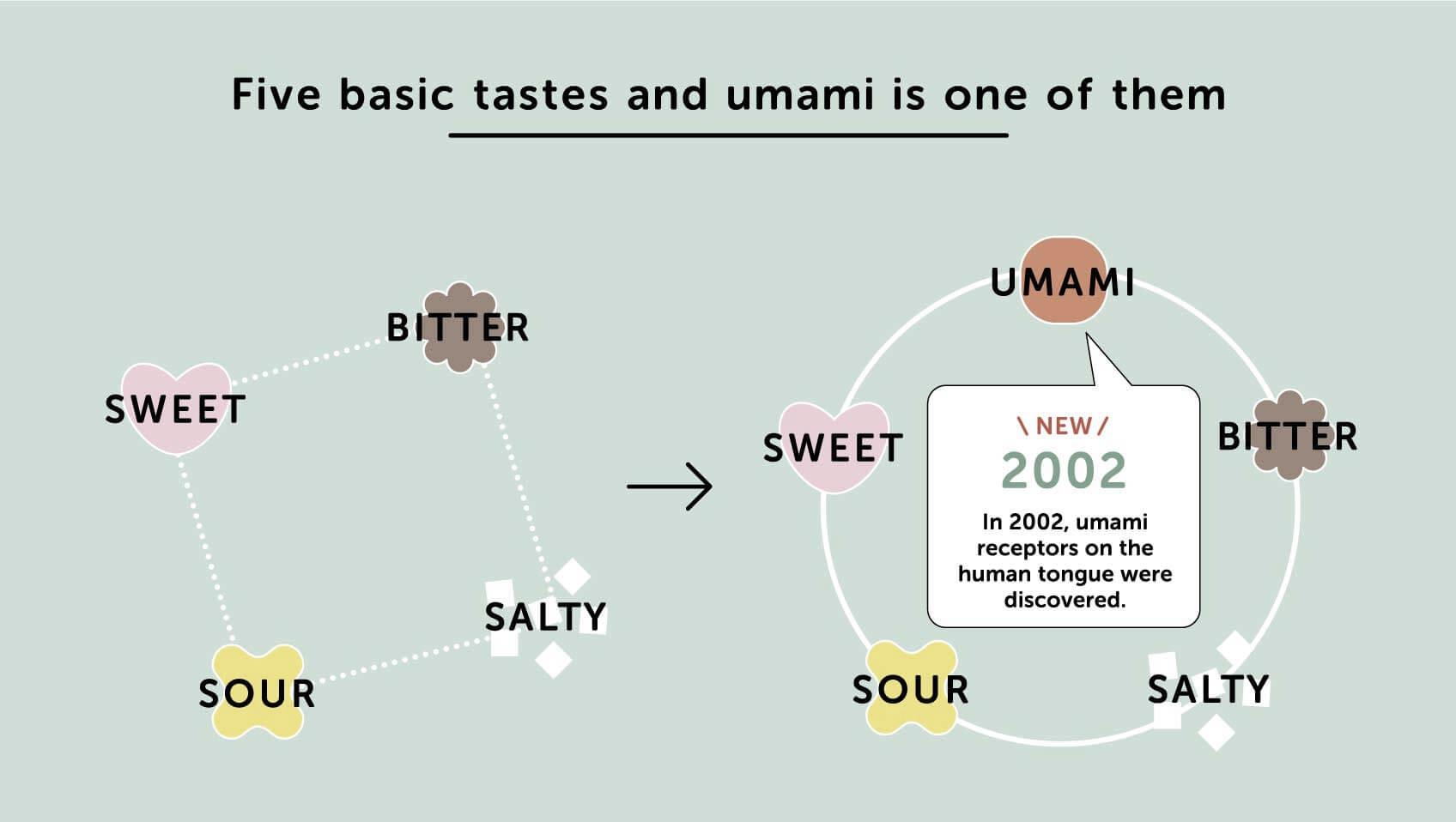 Umami: déchiffrer la signification de cette mystérieuse saveur
